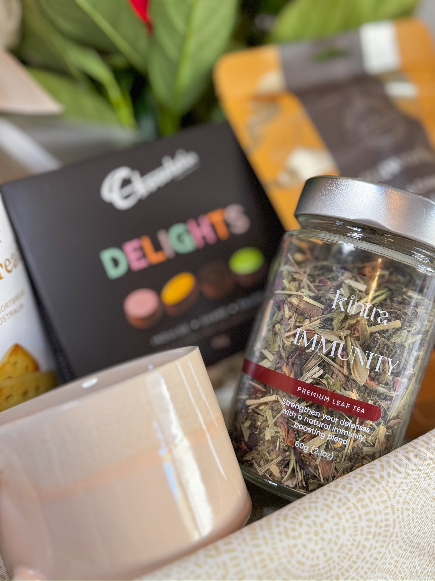 Gentle Recovery Get Well Hamper